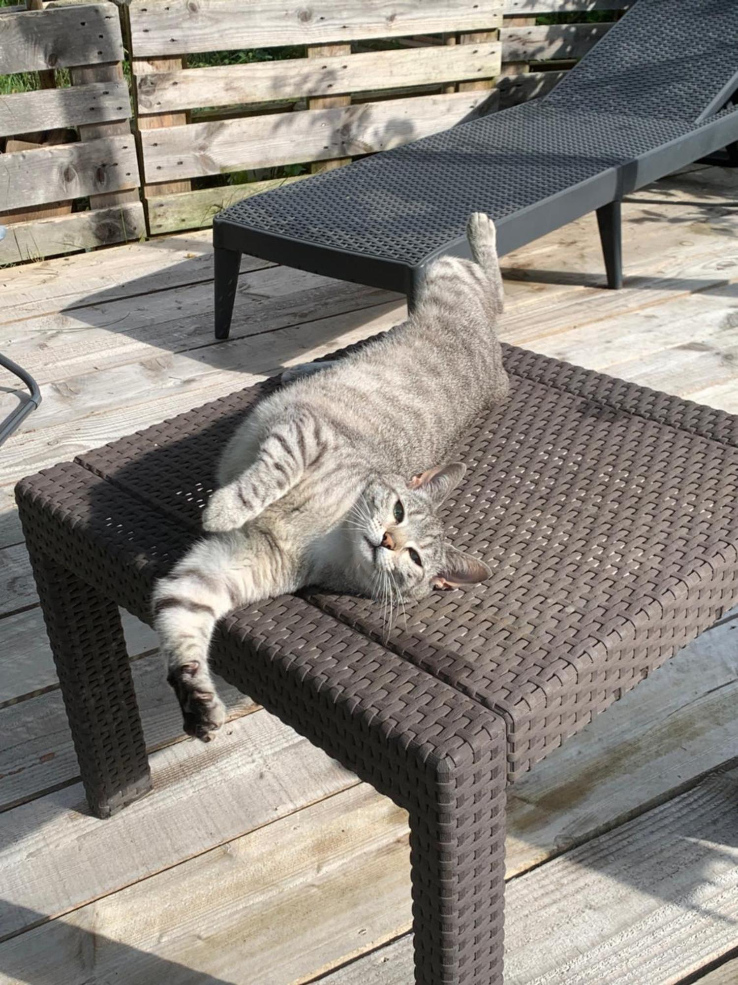 Cookie Home Dolomieux Kültér fotó