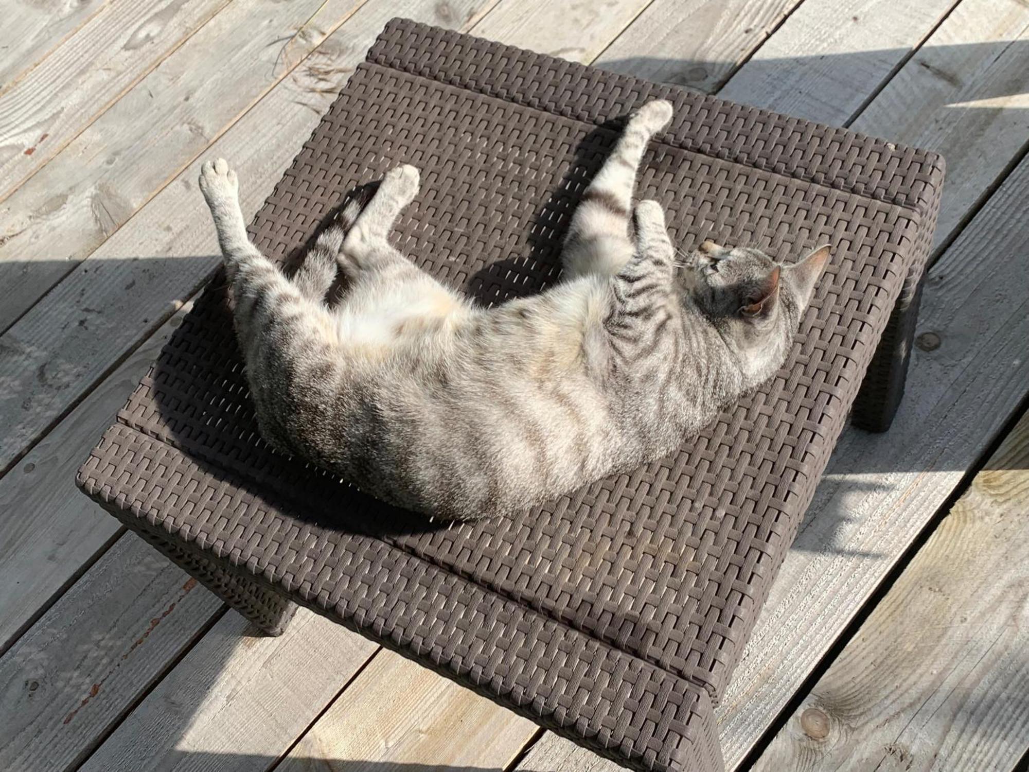 Cookie Home Dolomieux Kültér fotó